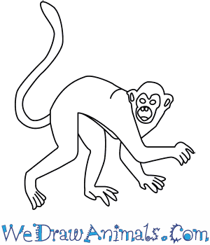 300x350 How To Draw A Golden Snub Nosed Monkey