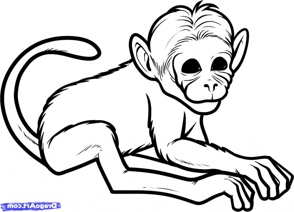 1024x737 Simple Drawing Of A Monkey How To Draw A Chimeric Monkey Chimeric