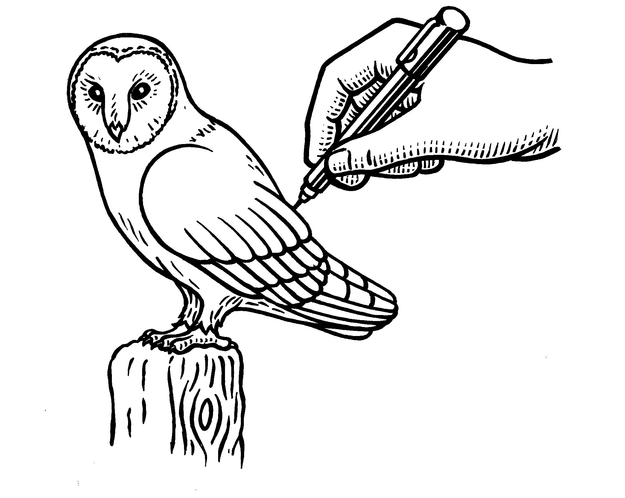 2089x1663 How To Draw A Barn Owl