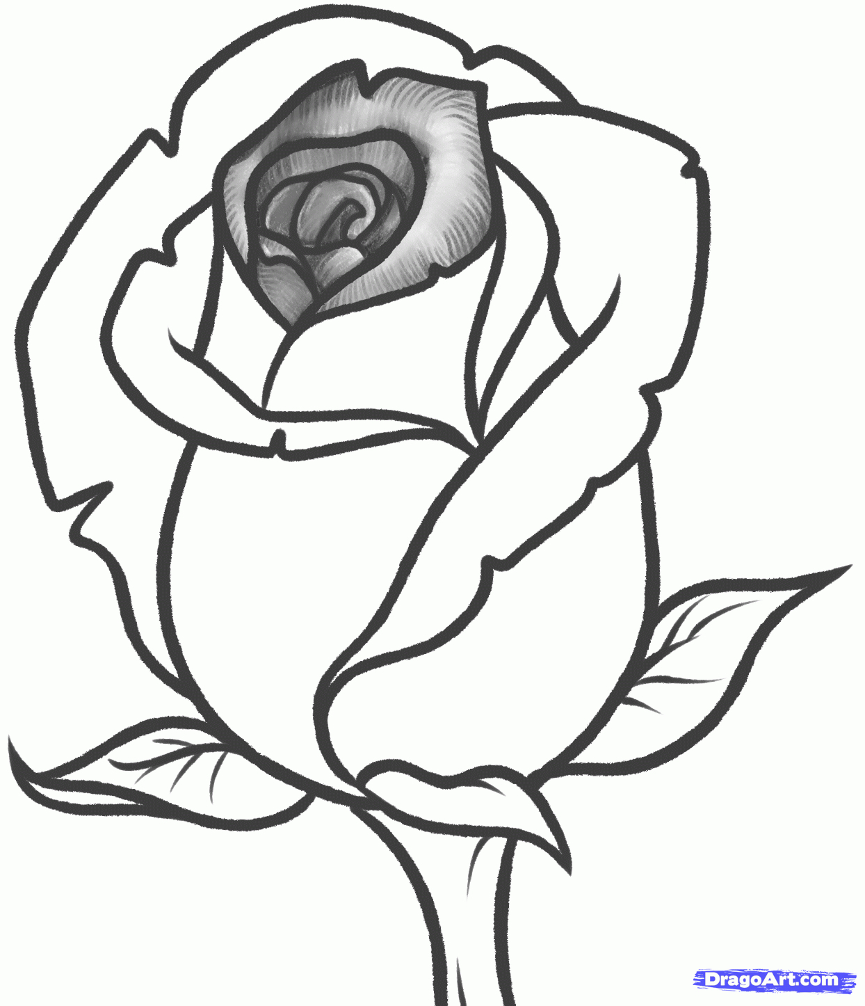 1244x1446 Rose Drawing Black White Simple Rose Drawings In Black