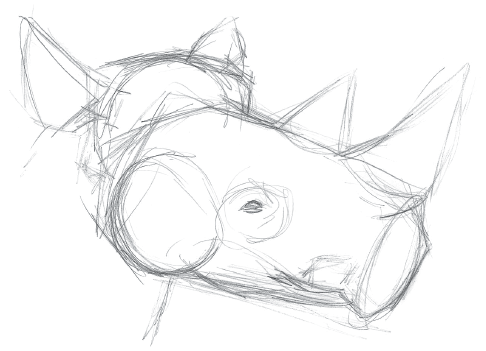 486x351 Finding Basic Shapes In Nature