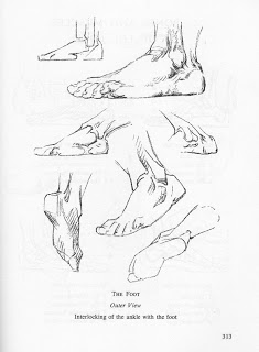 235x320 Vcad Life Drawing I (Brett) Week 3 Short Sketching Techniques