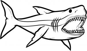 302x177 How To Draw How To Draw Megalodon, Megalodon Shark