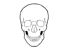 300x226 Skull Drawings Drawings Ofskull How To Draw Simple Drawings