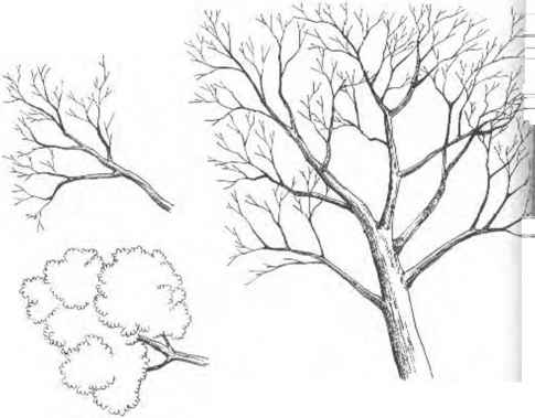 485x379 Gradation Background