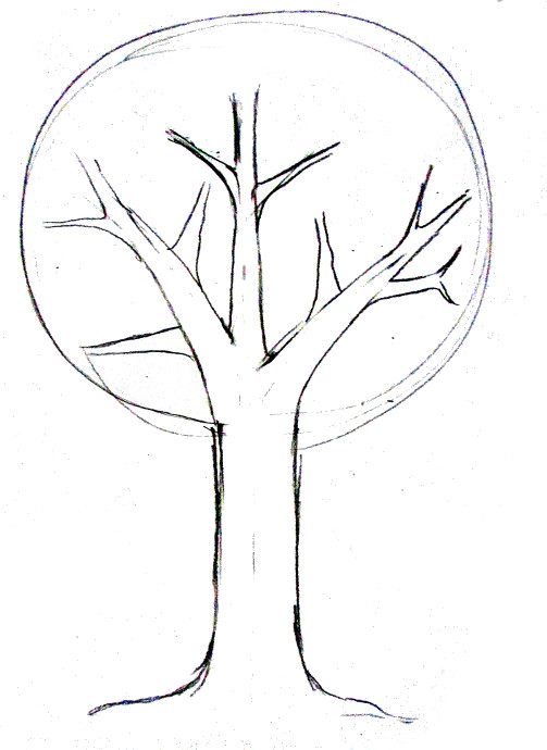 503x690 How To Draw A Tree