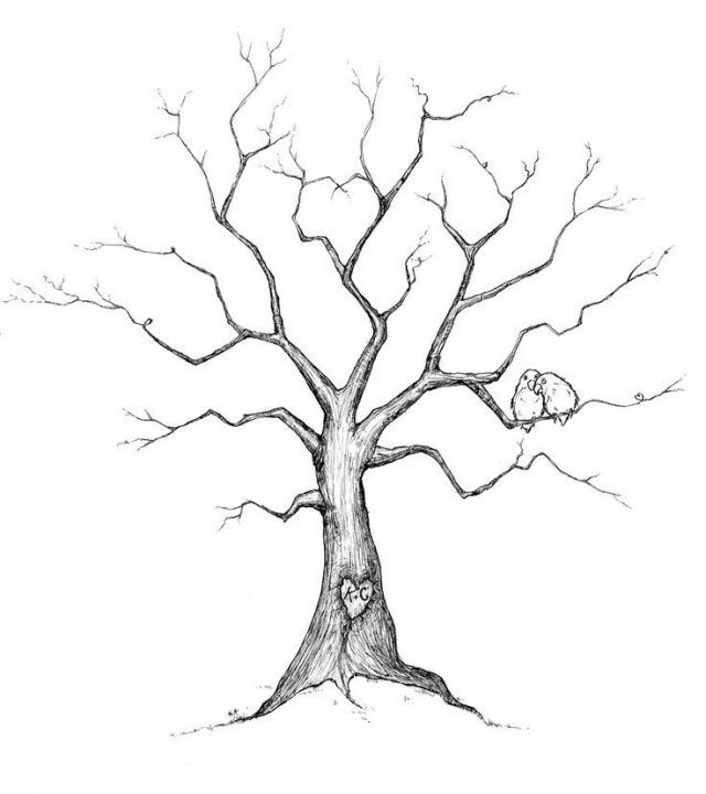 640x720 Draw Family Tree A Basic Latest Besides Bn Radiokrik