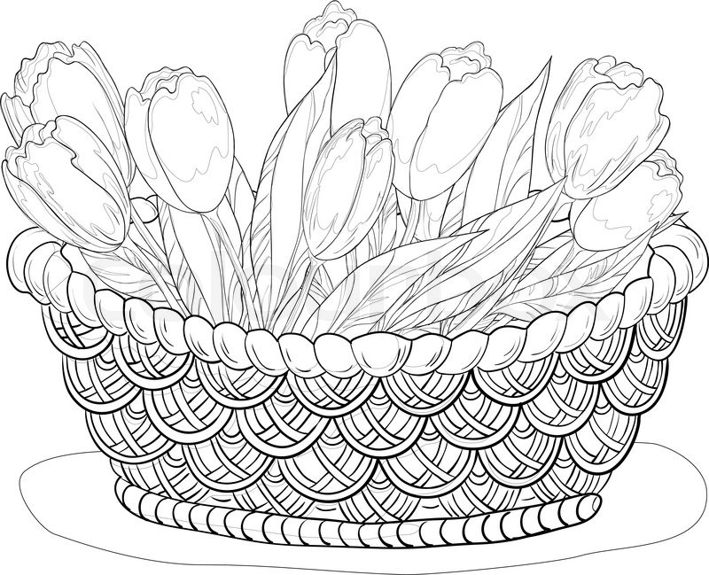 800x649 Basket With Flowers, Contours Stock Vector Colourbox