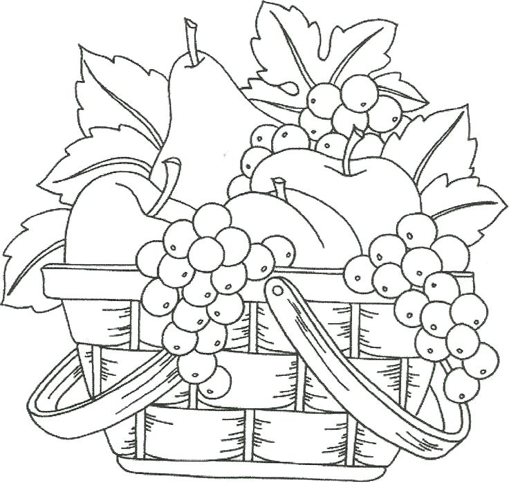 Basket Of Fruit Drawing