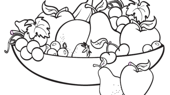 570x320 A Basket Of Fruits Drawing A Basket Of Fruits Drawing Coloring