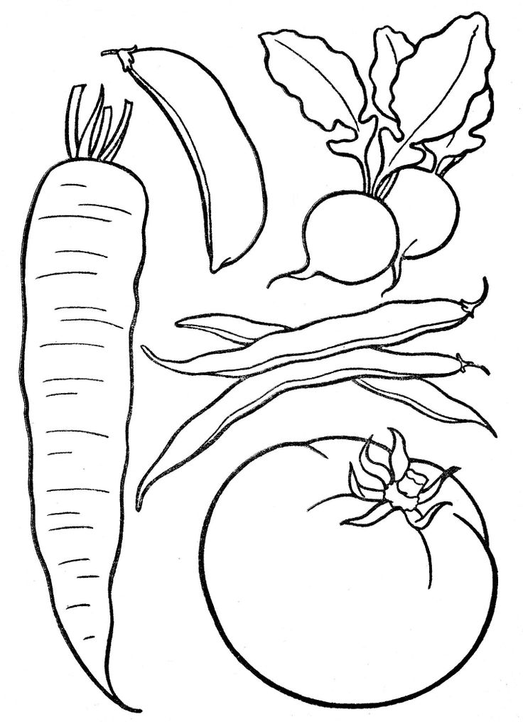 736x1016 Basket Of Vegetables Clipart Black And White Collection