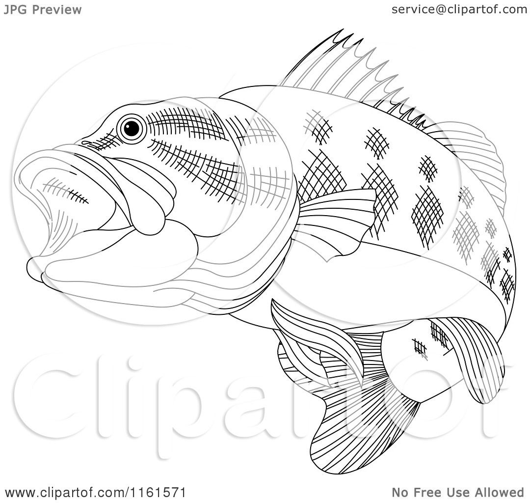 1080x1024 Clipart Of A Black And White Bass Fish