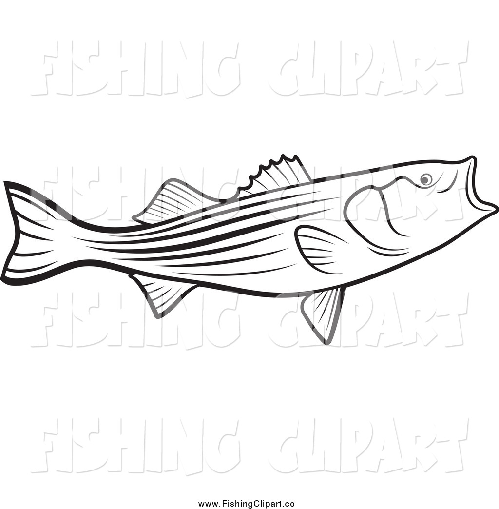 1024x1044 Largemouth Bass Drawing Outline