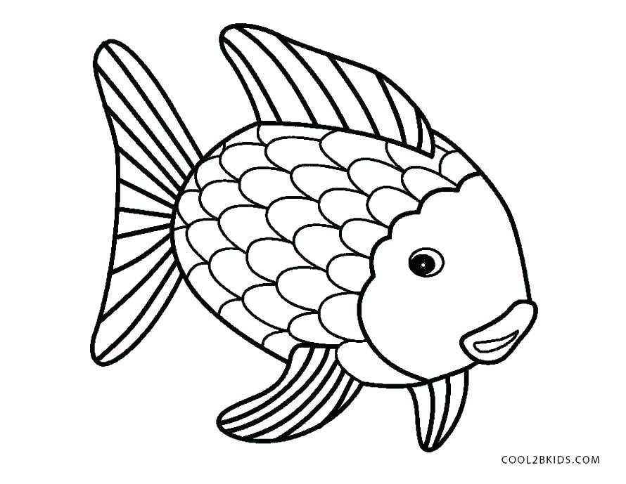 890x689 Fish Coloring Books Also Bass Fish Outline Coloring Page Coloring