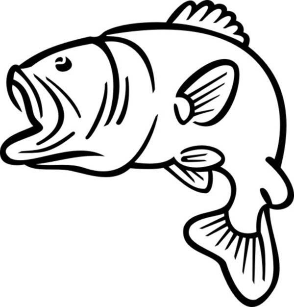 600x626 Bass Fish Outline Coloring Pages Best Place To Color Crafts