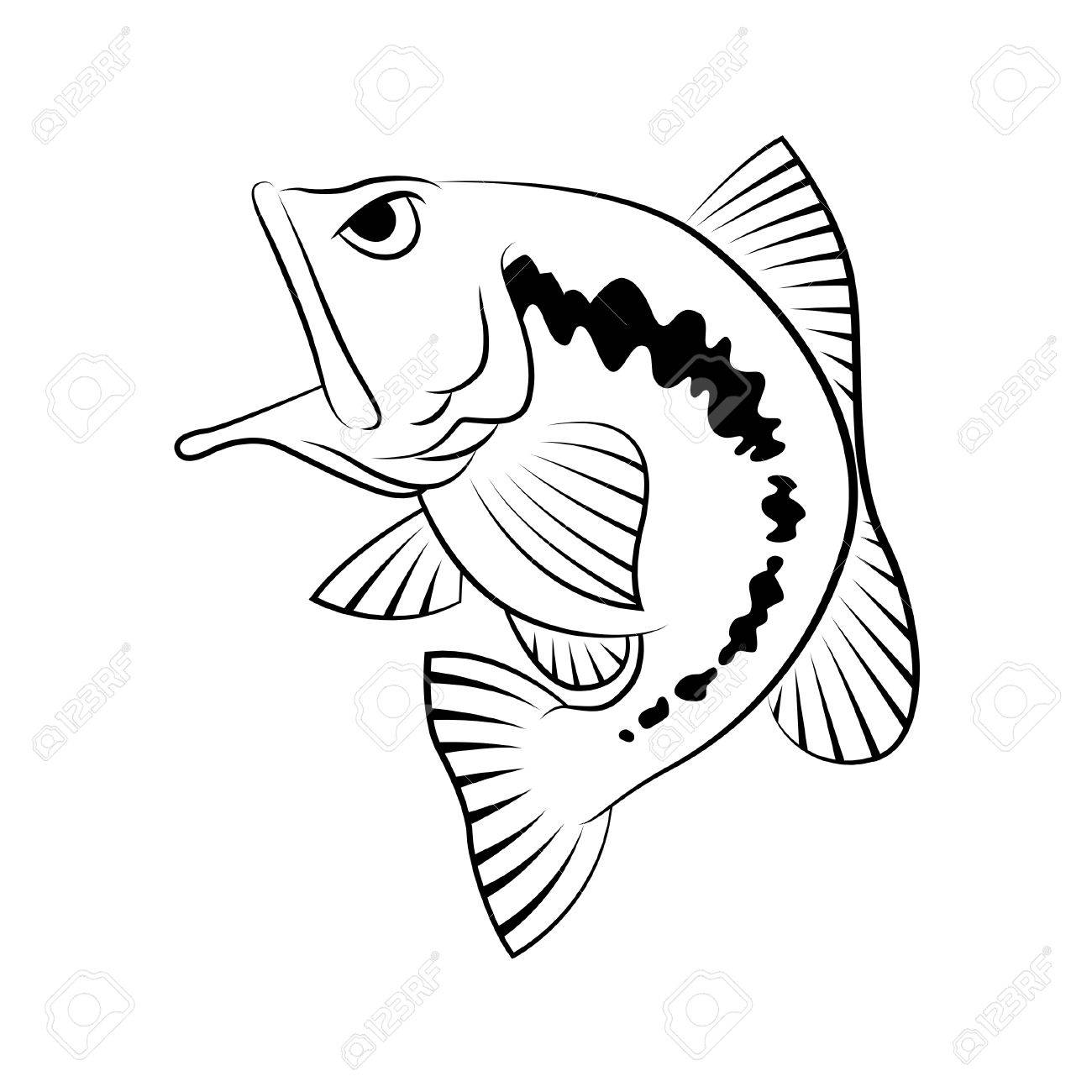 1300x1300 Bass Fish Symbol On White Background,vector. Royalty Free Cliparts