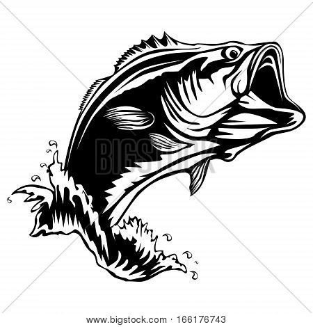 450x470 Bass Images, Illustrations, Vectors