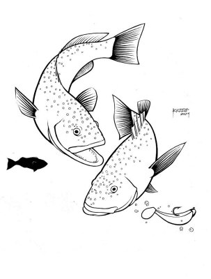 303x400 Related Pictures Bass Fish Drawing Stock Photo A Hand Drawn Pencil