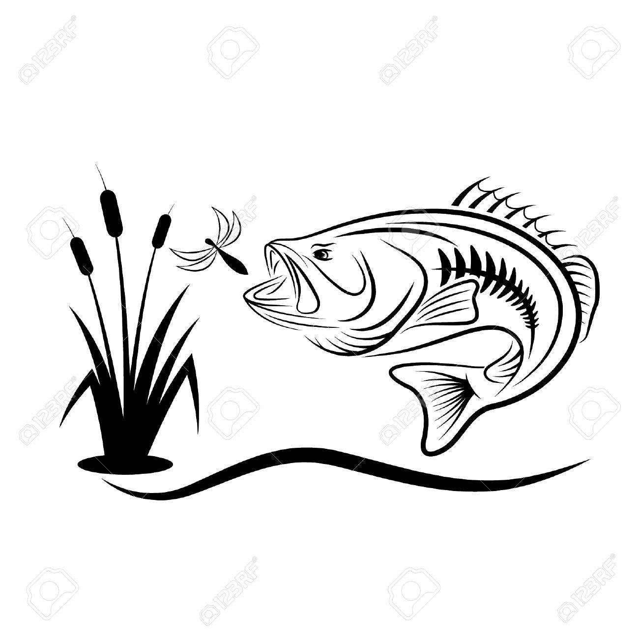 Bass Jumping Out Of Water Drawing at GetDrawings | Free download