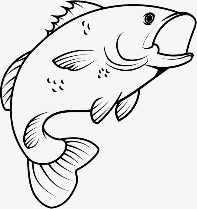 Bass Jumping Out Of Water Drawing at GetDrawings | Free download