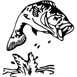 250x250 Bass Jumping Out Of Water Decal
