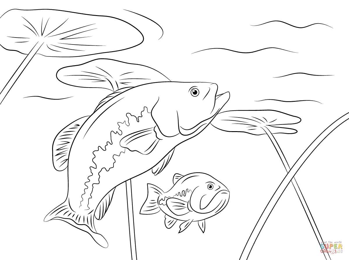 1199x894 Largemouth Basses Coloring Page Free Printable Coloring Pages