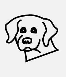 223x260 Basset Hound Information And Facts