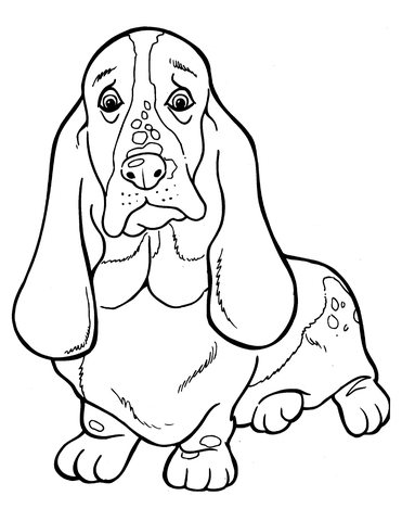 371x480 Basset Hound Coloring Page Free Printable Coloring Pages