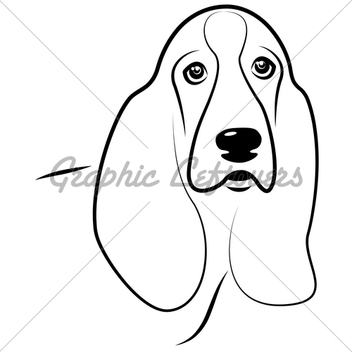 500x500 Basset Hound Gl Stock Images