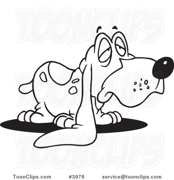 581x600 Cartoon Black And White Line Drawing Of A Droopy Eared Basset