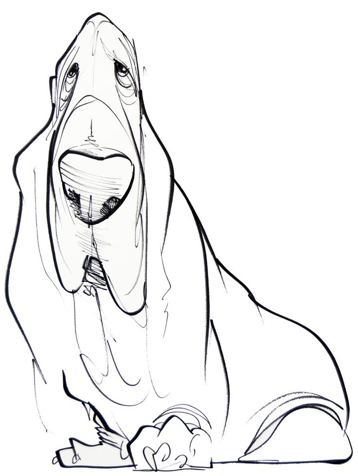 736x977 Pet Caricature Portrait Proj 1 Drawing 1301