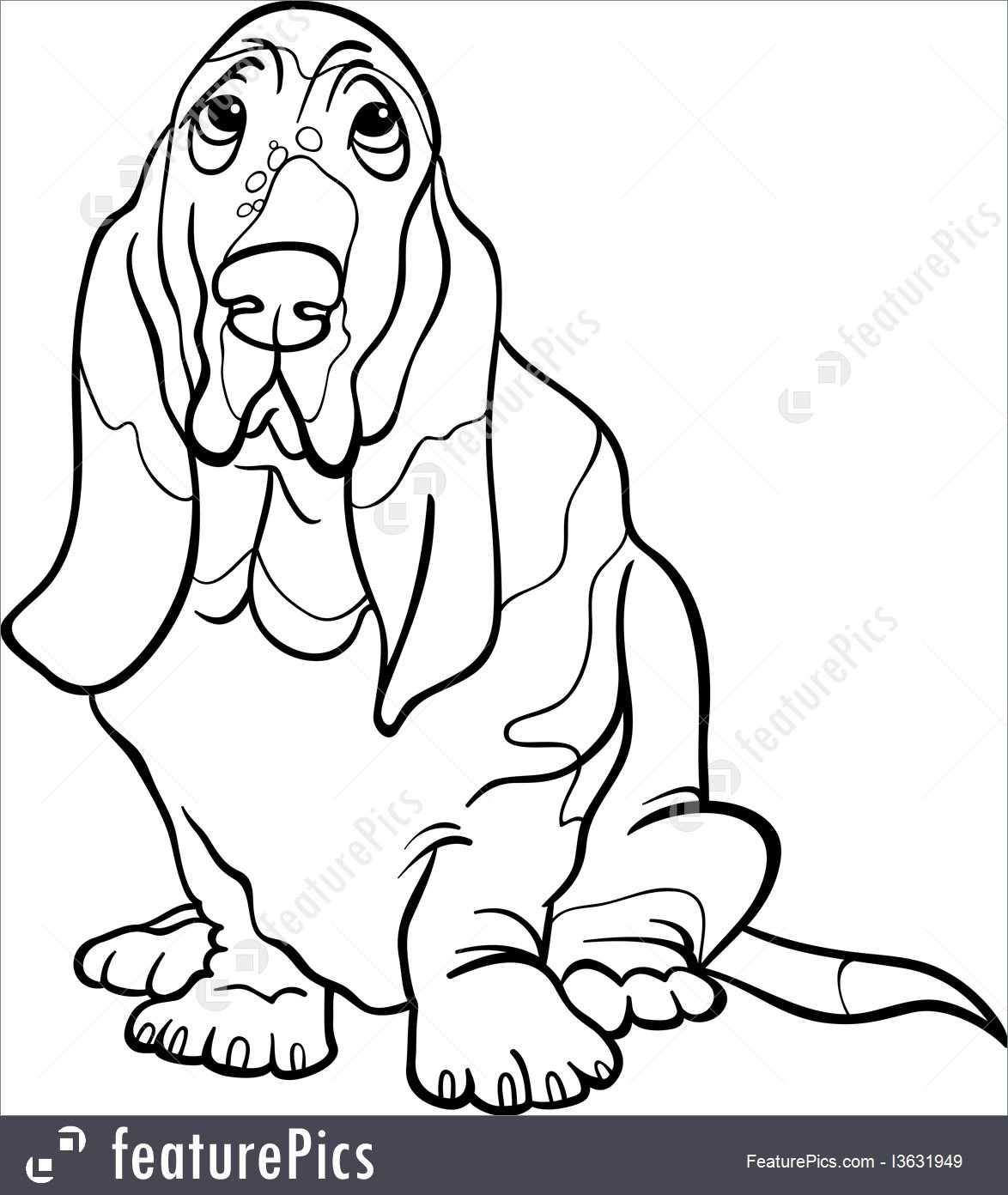 1174x1392 Pets Basset Hound Dog Cartoon For Coloring Book