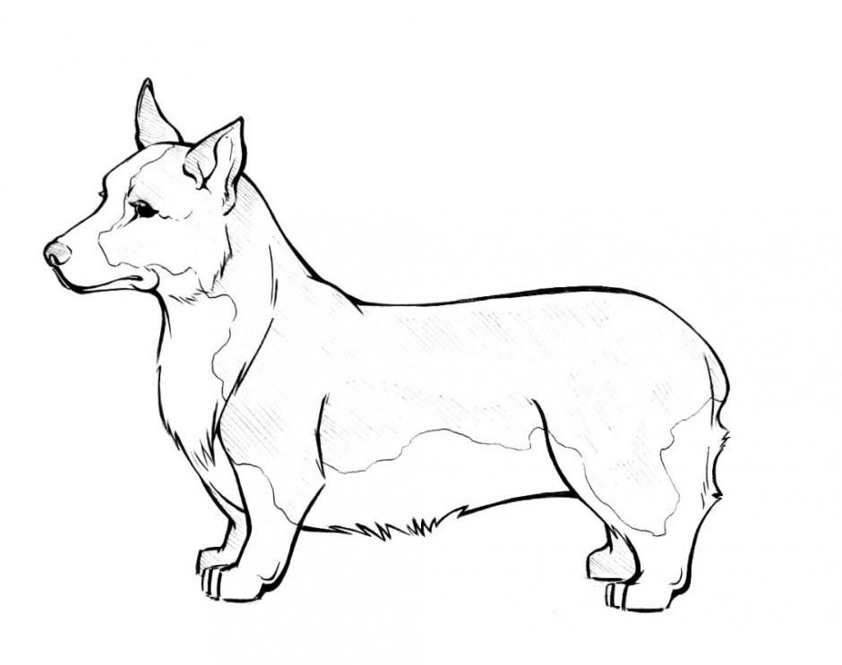 940x743 Basset Hound Coloring Pages