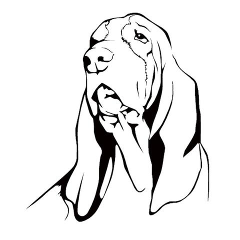 Basset Hound Drawing at GetDrawings | Free download