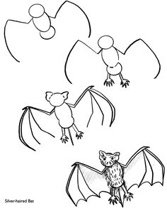 236x293 How To Draw A Bat For Kids Doodles Bats, Drawings