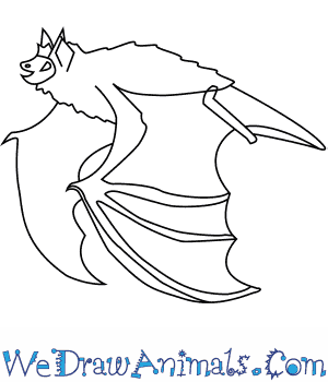 300x350 How To Draw An Indiana Bat