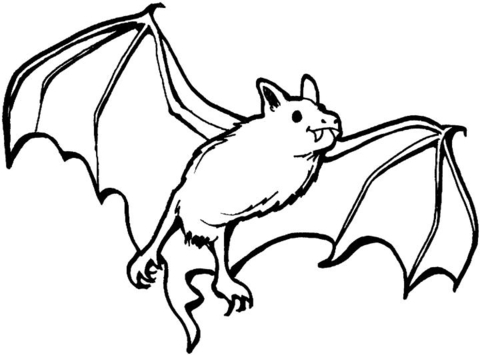 480x355 Vampire Bat Coloring Page Free Printable Coloring Pages