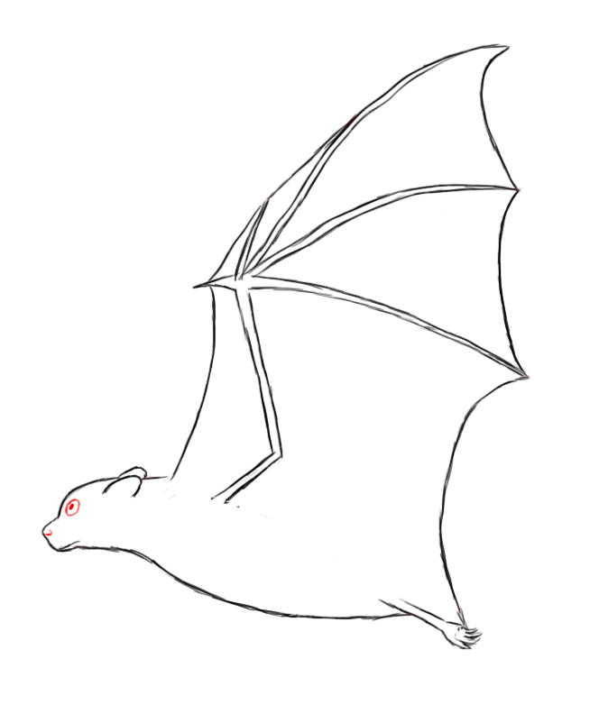 664x802 How To Draw A Bat