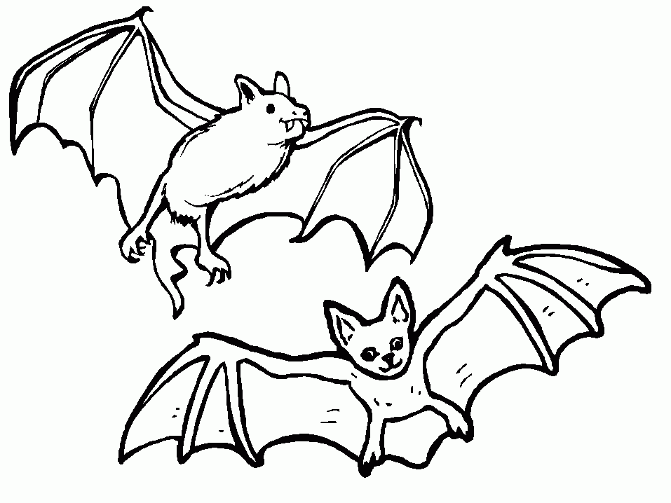 957x718 Simplistic Bat Pictures For Kids 28 Coloring Pages To Print