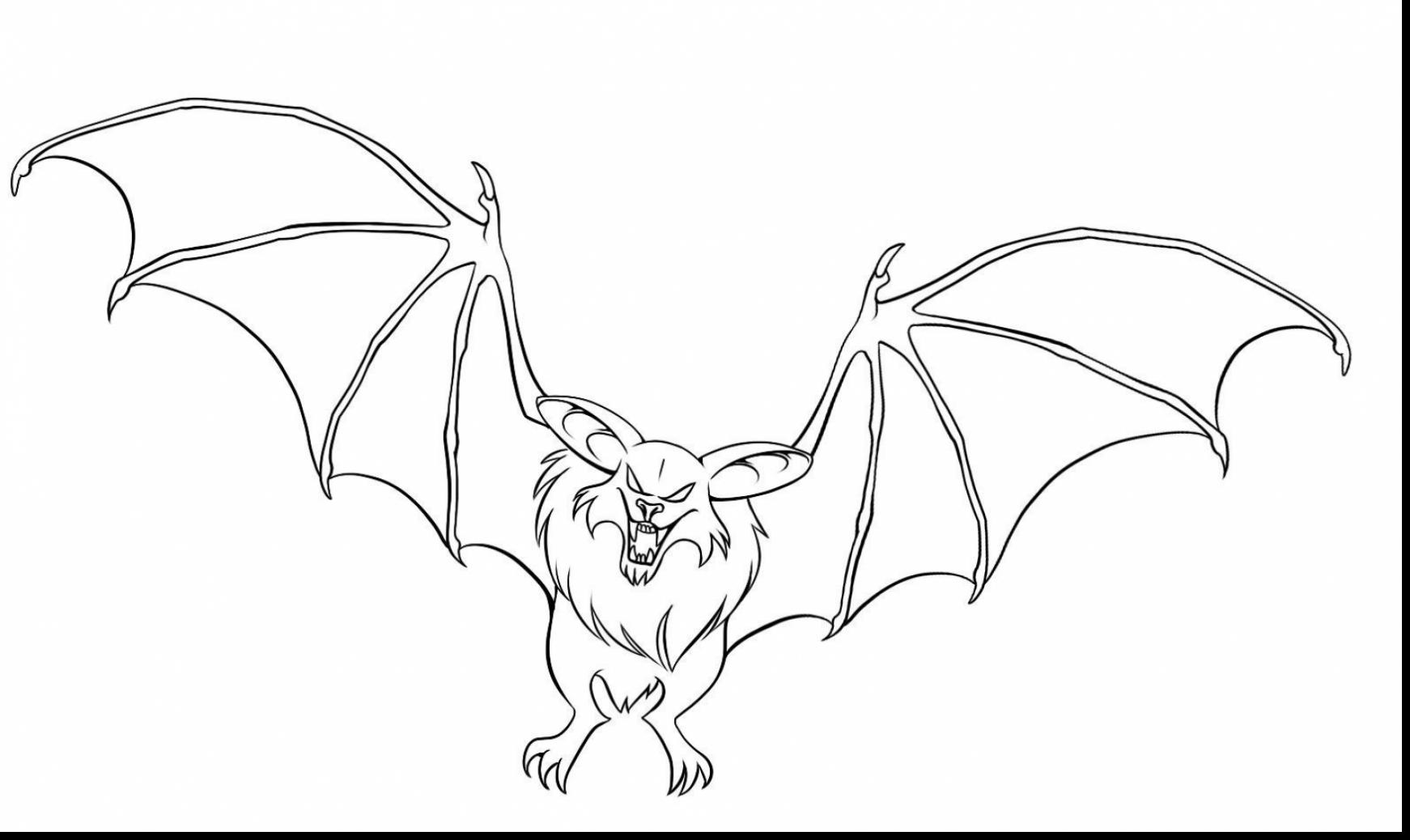 1742x1038 Bat Drawing