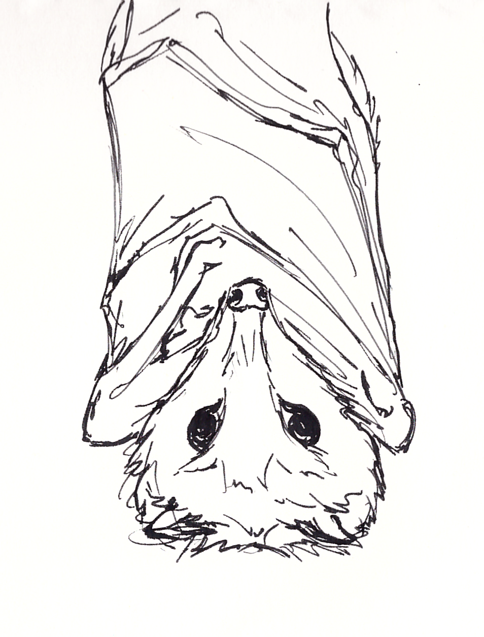 954x1254 October 2nd