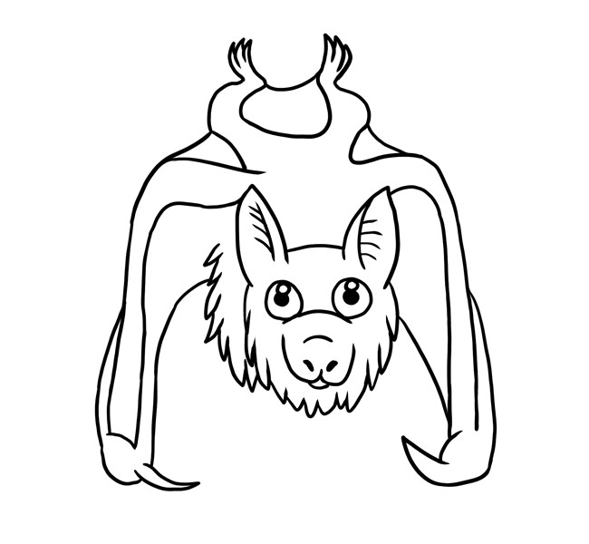 650x600 Bat Template