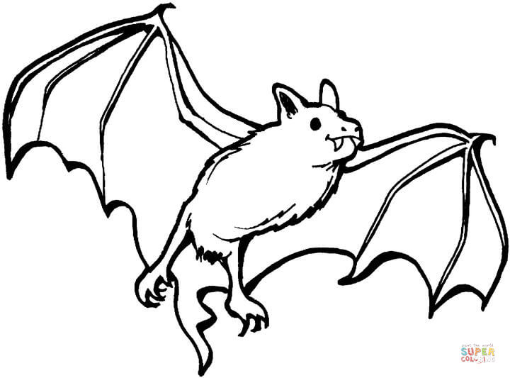 720x533 Coloring Pages Bats Bats Coloring Pages Free Coloring Pages