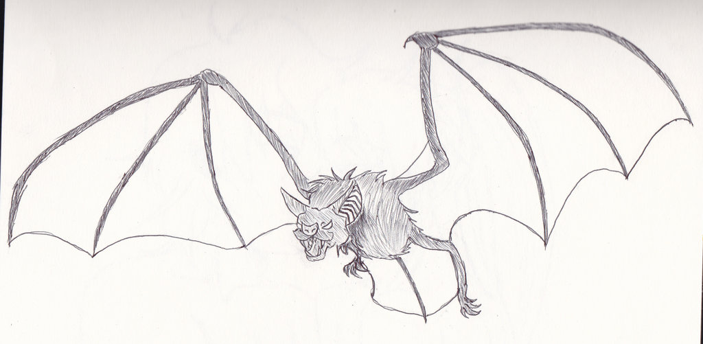 1024x501 Bat Sketch 2 By Sphinxgal1