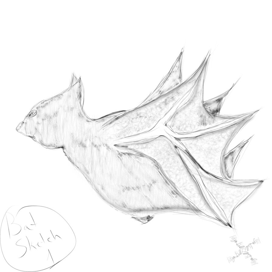 894x894 Bat Sketch 1 Byizetsu666