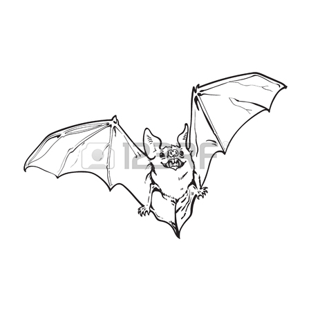 450x450 Scary Flying Halloween Vampire Bat, Sketch Style Vector