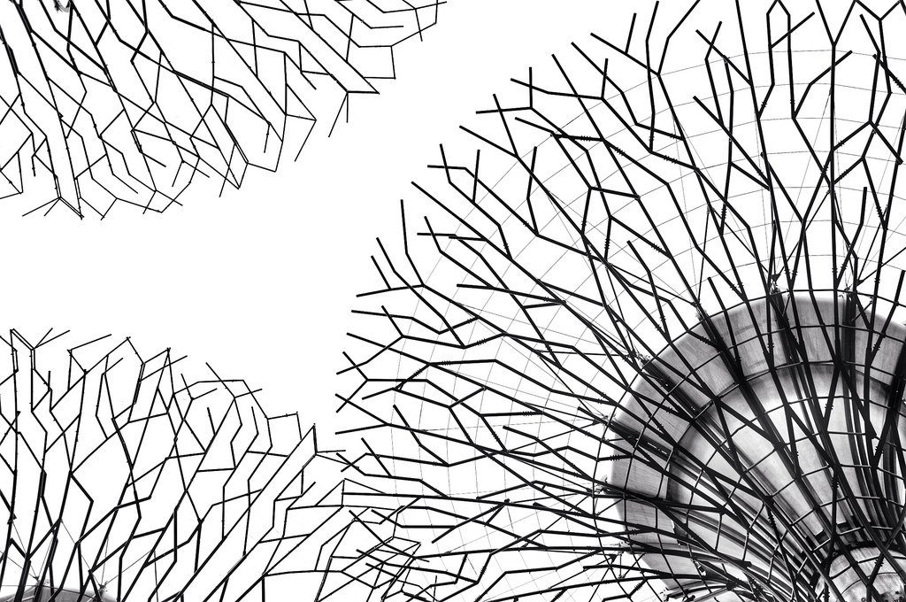 1024x680 Fair Garden By The Bay Drawing Inspiration Of Gardenthe Bay