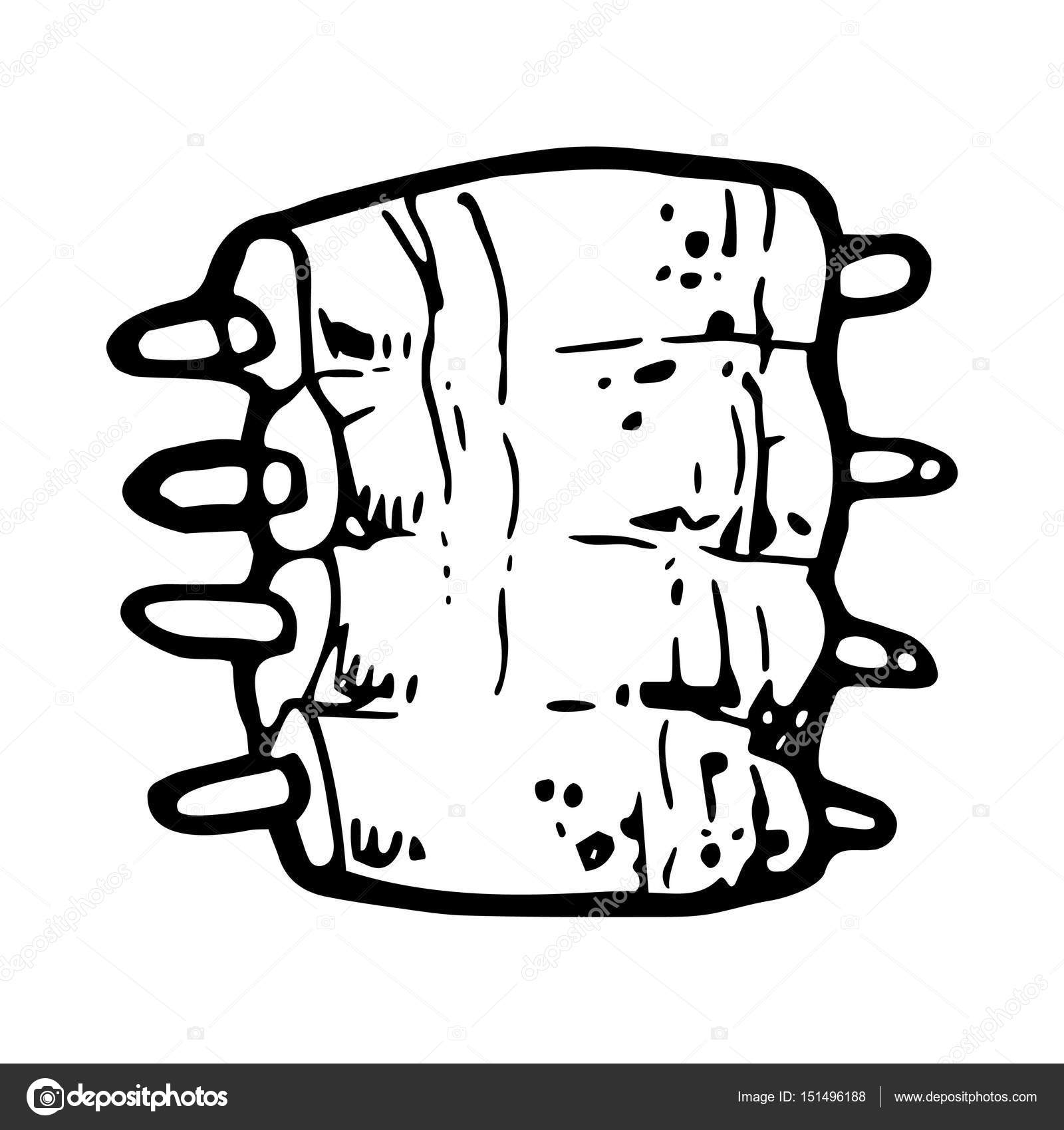 1600x1700 Hand Drawn Grilled Ribs Stock Vector Everydaytemplate