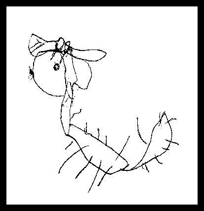 413x426 Horrible Kid Drawings Of Dogs Amazing Doggies