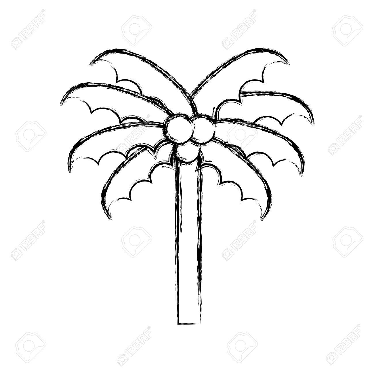 1300x1300 Sketch Draw Cute Beach Palm Cartoon Vector Graphic Design Royalty